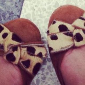 Meet your Posher, Priscilla